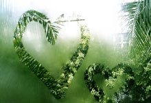 28circle-JackeyLove在中国队比赛中最后时刻胜出，夺冠引发热议！热度持续攀升(英雄联盟jackeylove个人资料)